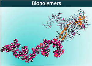Biopolymers: A Complete Guide for 2023 1 biopolymers