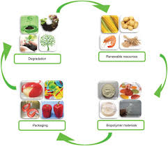 Biopolymers: A Complete Guide for 2023 4 biopolymers packaging materials
