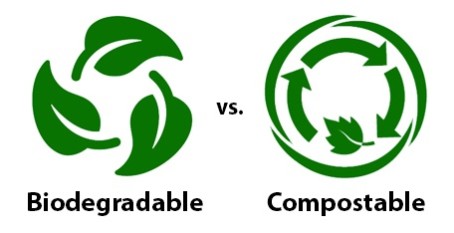 Biodegradable Vs Compostable: What Are The Top Differences