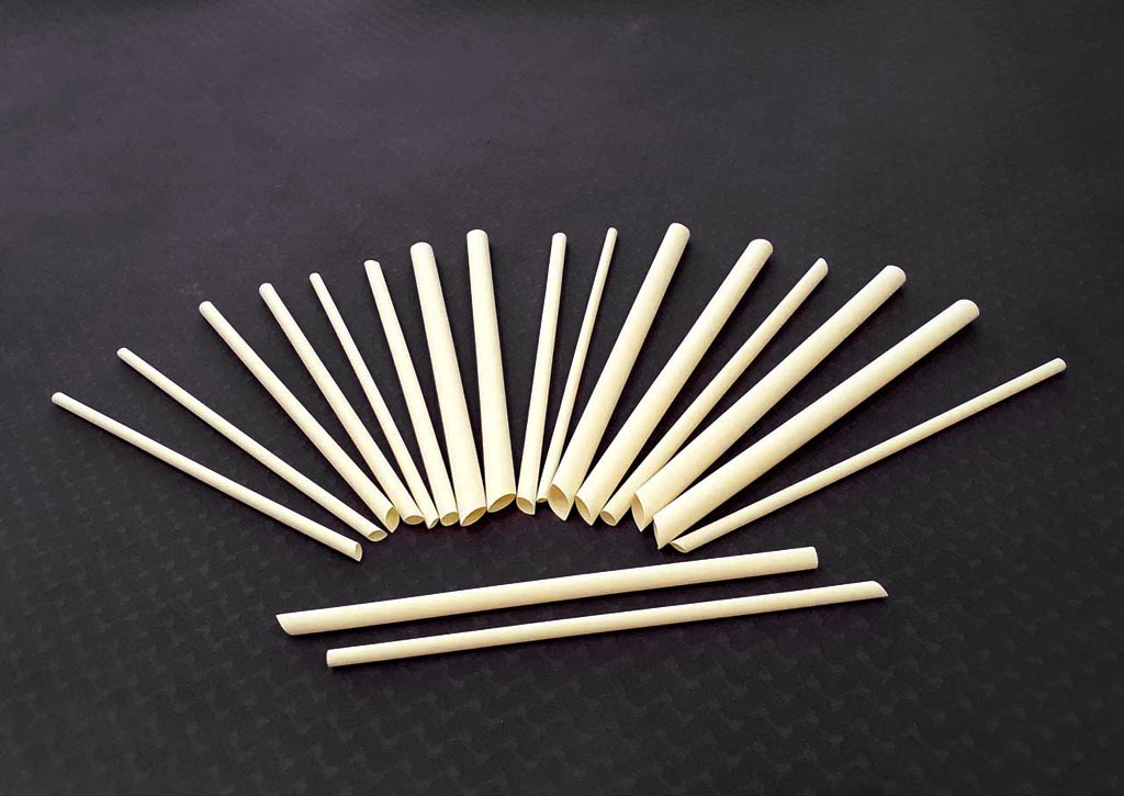 What are Biodegradable Straws and Why You Should Use One