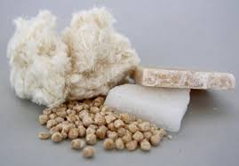 Read more about the article What are Biodegradable Resins?