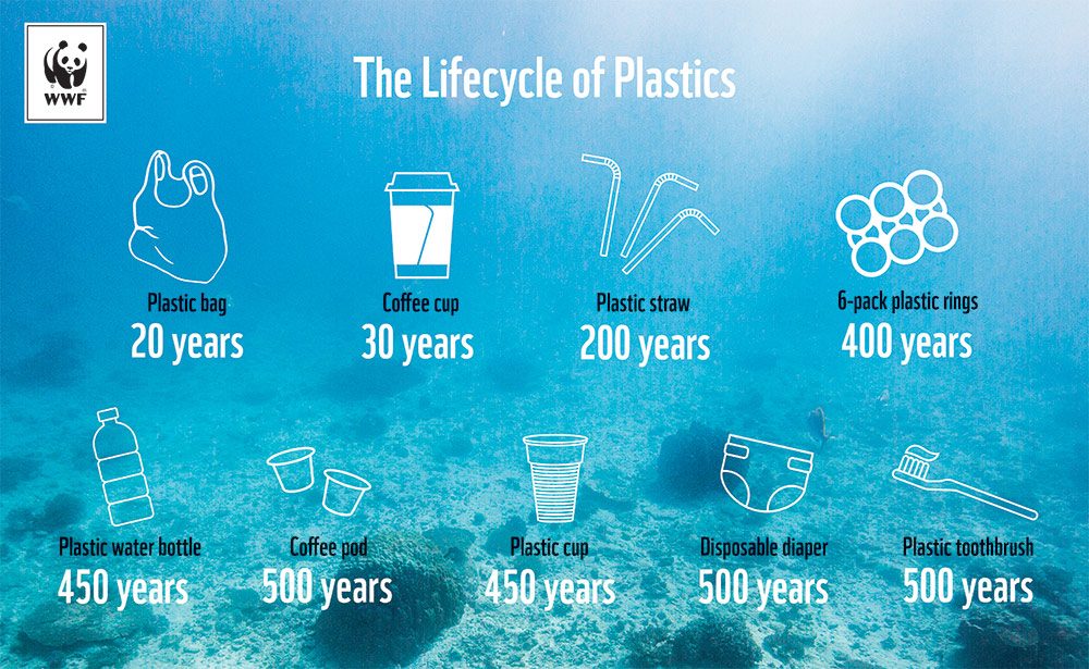 The Lifecycle of Plastic