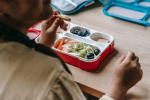 Shopping Guide for Eco-Friendly Products in Singapore - Top 18 Stores to Check Out 7 lunch box